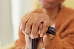 legge delega sulla disabilità