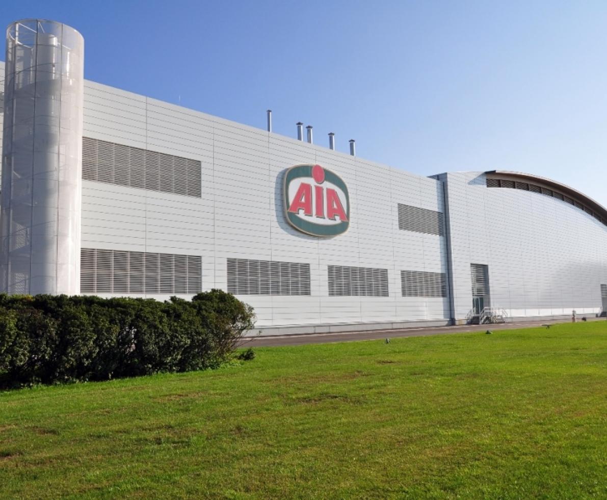 gruppo-aia.jpg