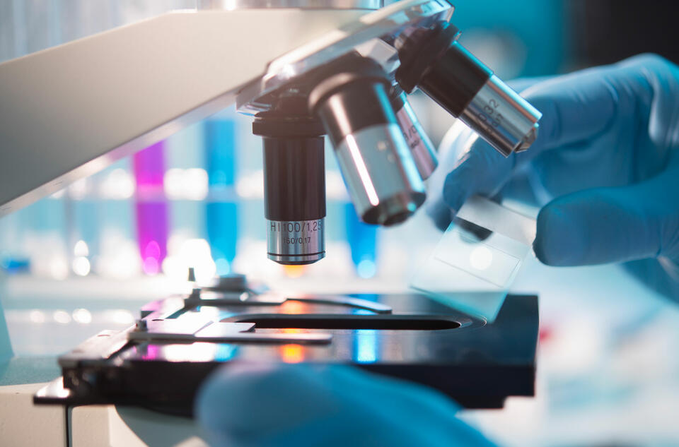 Laurea Biotecnologie Mediche Sbocchi Lavorativi Negli Ospedali Laurea in biotecnologie: gli sbocchi lavorativi.