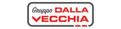 dalla vecchia fabrizio & c. spa DALLA VECCHIA FABRIZIO & C. SPA